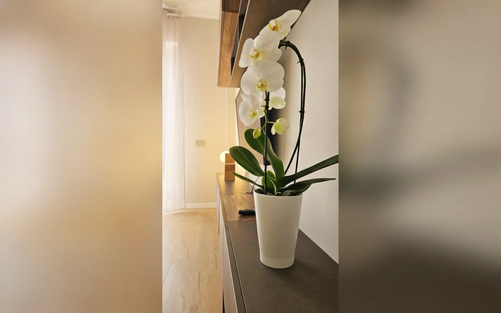 Bagno privato — Jack Apartment Milan, Milano (Lombardia) (foto 17)